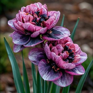 Нарцисс Моргатн Мотив купить по цене от 2000р. в интернет-магазине «Посадика» с доставкой почтой в в Сасовое и по всей России – [изображение №1].